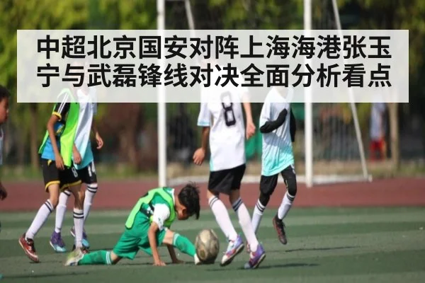 中超北京国安对阵上海海港张玉宁与武磊锋线对决全面分析看点（kaiyun）